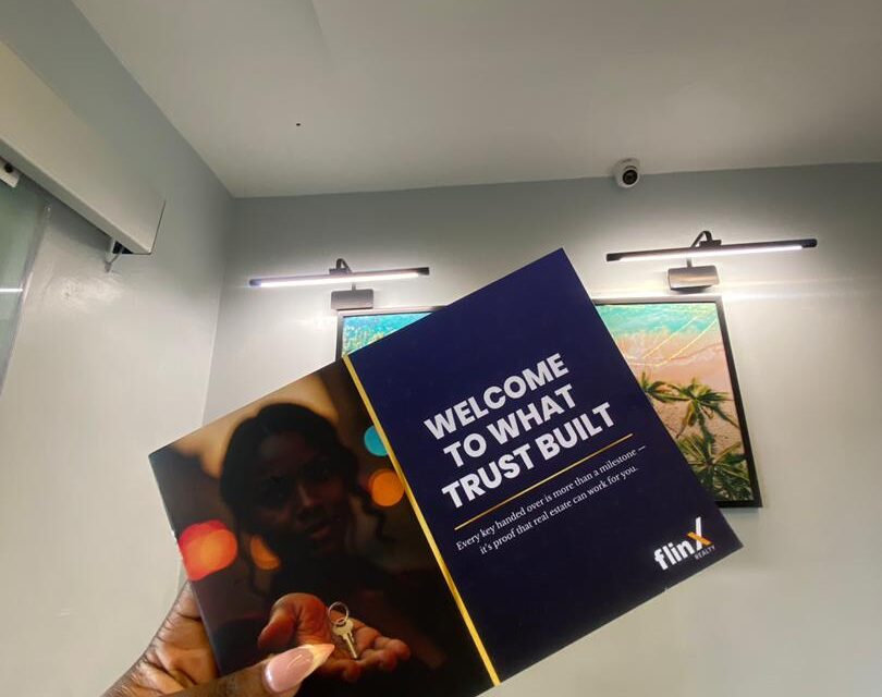 The Developer Who Built More on the Mainland Than Anyone Else: The Flinx Story